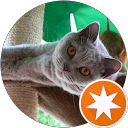 DENIS ROUILLY profile picture